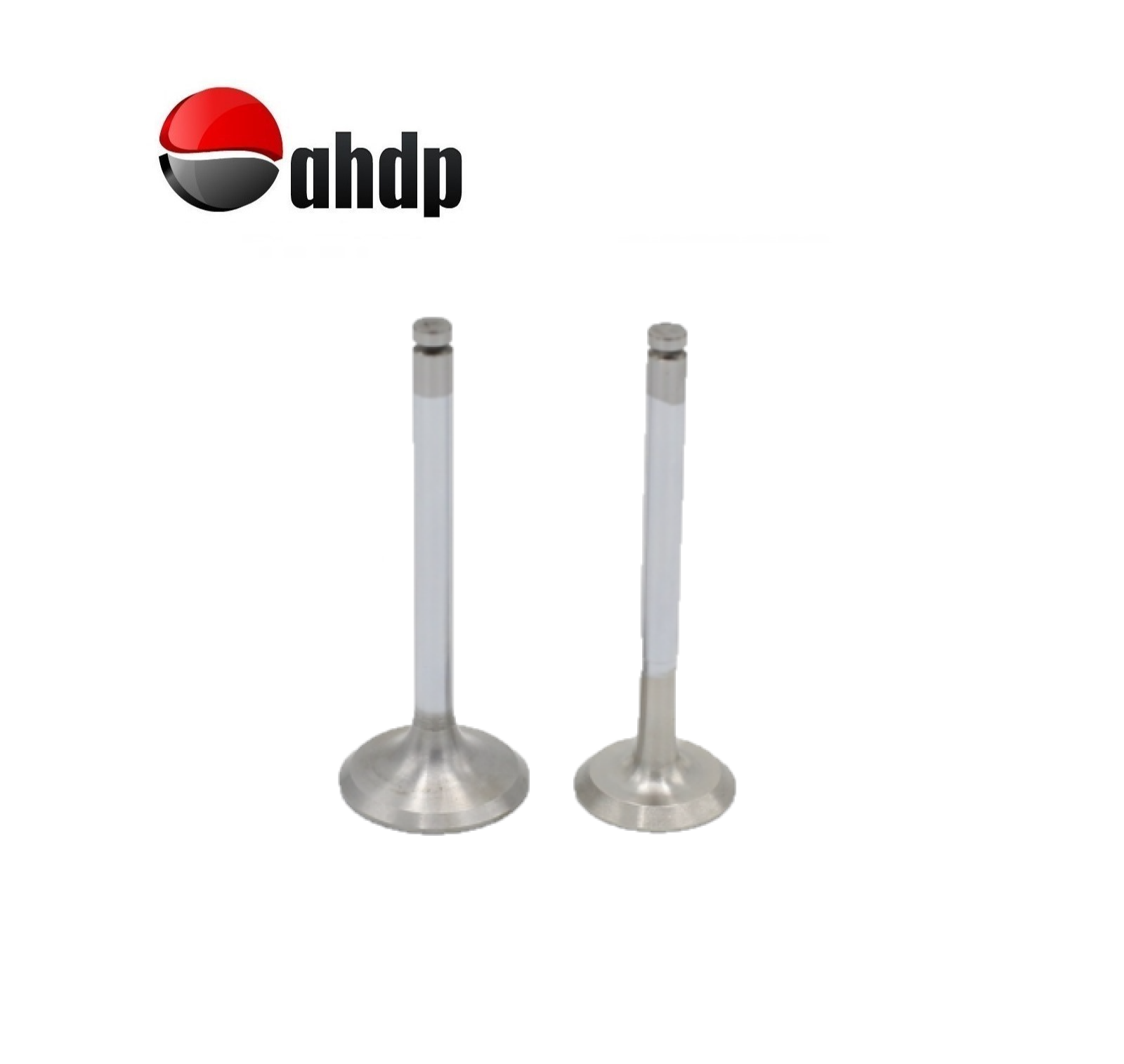 ENGINE VALVE SET IN+EX LOMBARDINI - LI019652030, LI019685040